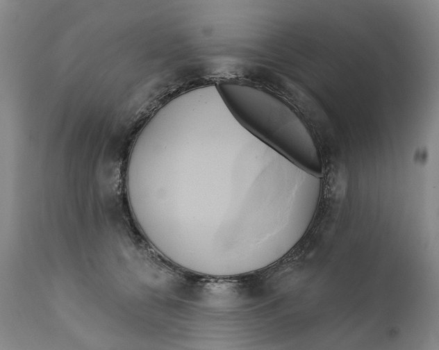 X0000111240560200907231531