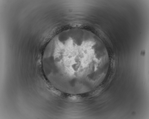 X0000111240561200907231531