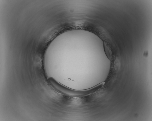 X0000111240562200907231531