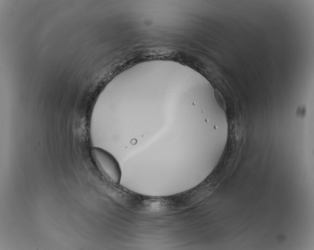 X0000111240564200907231531