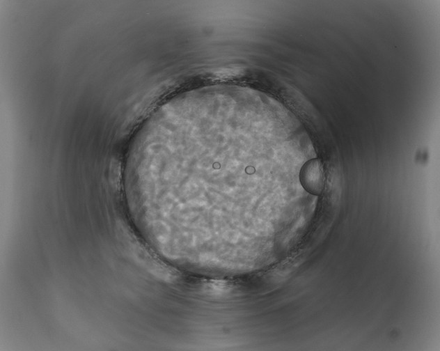 X0000111240565200907231531