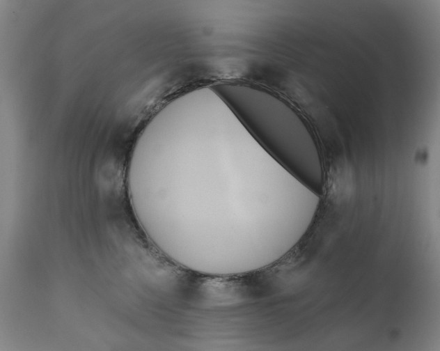 X0000111240568200907231531