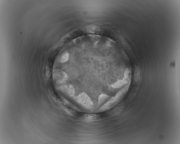 X0000111240569200907231531