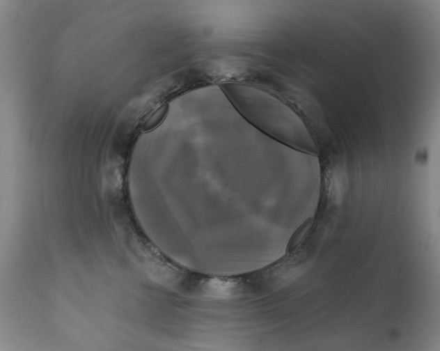 X0000111240570200907231531