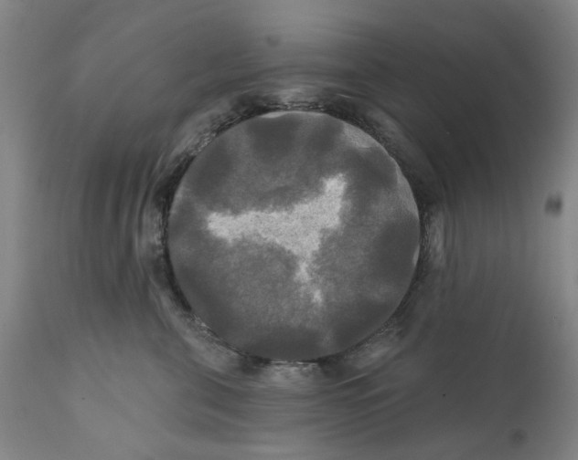 X0000111240571200907231531