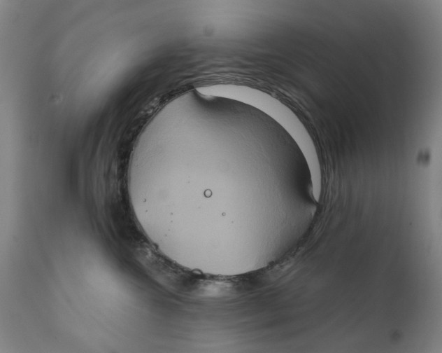 X0000111240572200907231531