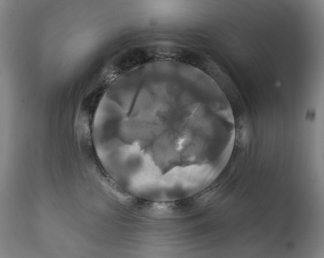 X0000111240573200907231531