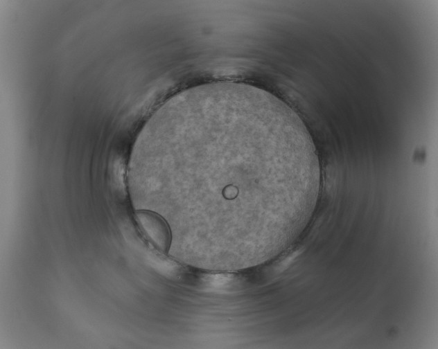 X0000111240575200907231531