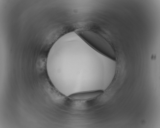 X0000111240576200907231531