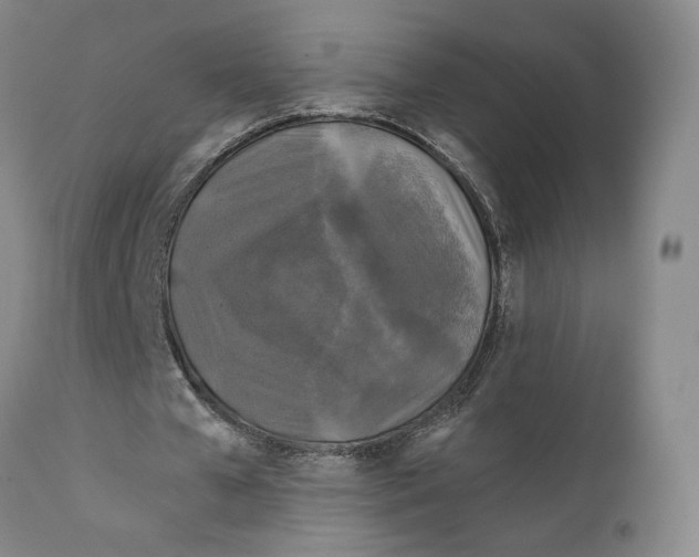 X0000111240577200907231531