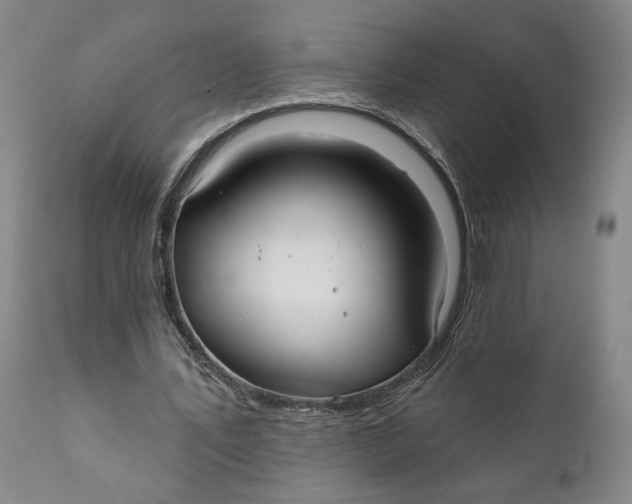 X0000111240579200907231531