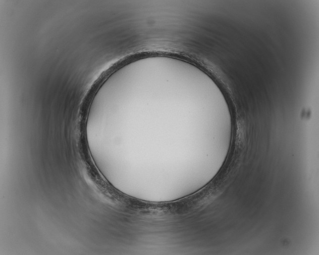 X0000111240580200907231531