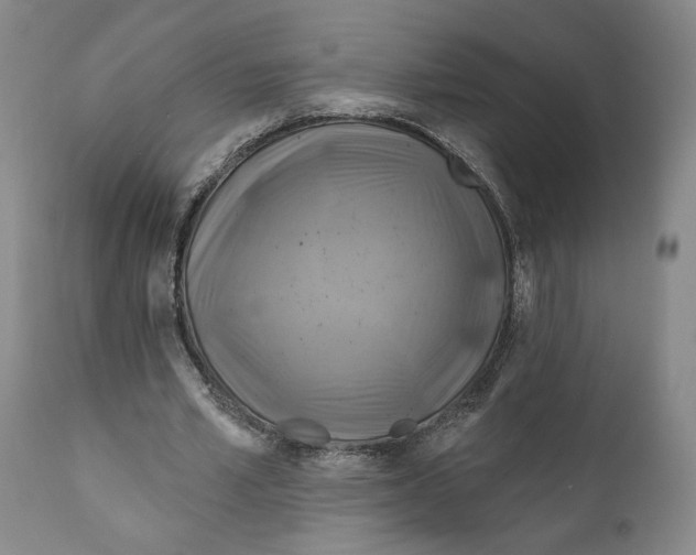 X0000111240581200907231531