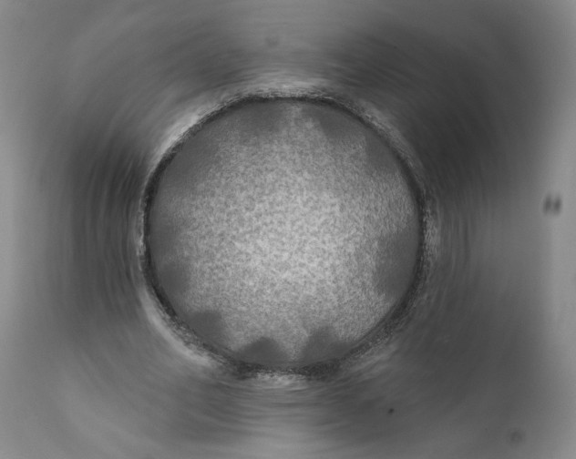 X0000111240582200907231531