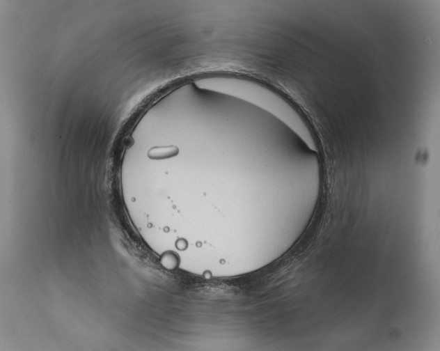 X0000111240583200907231531