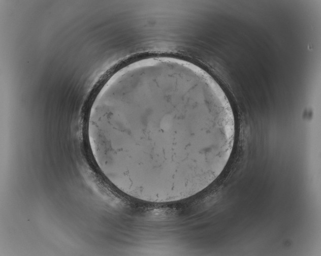 X0000111240584200907231530