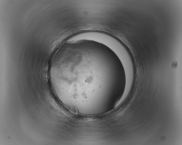 X0000111240585200907231530