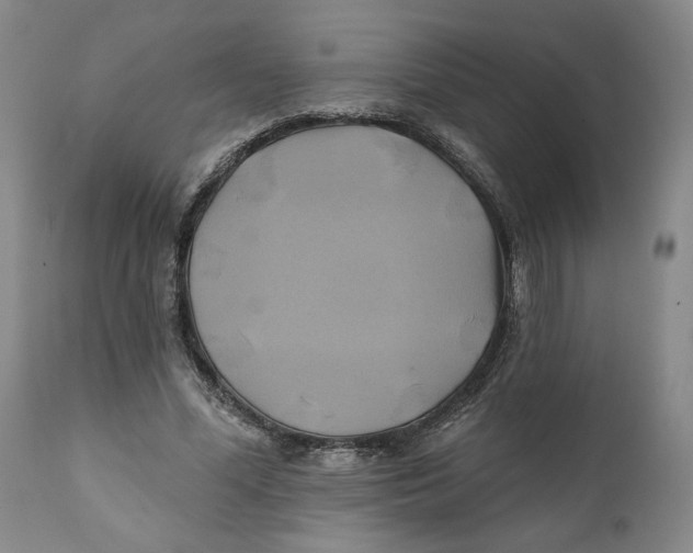 X0000111240588200907231530