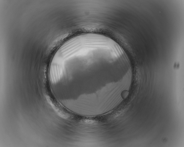 X0000111240590200907231530