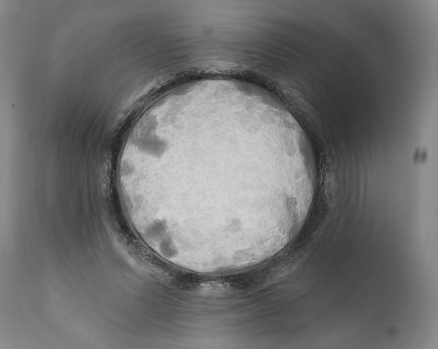 X0000111240591200907231530