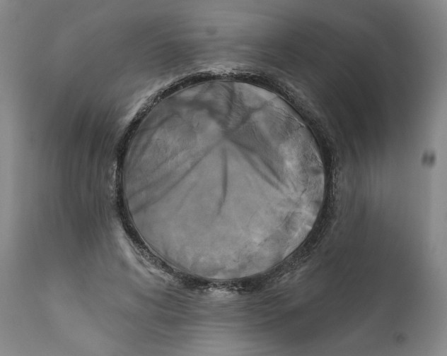 X0000111240592200907231530