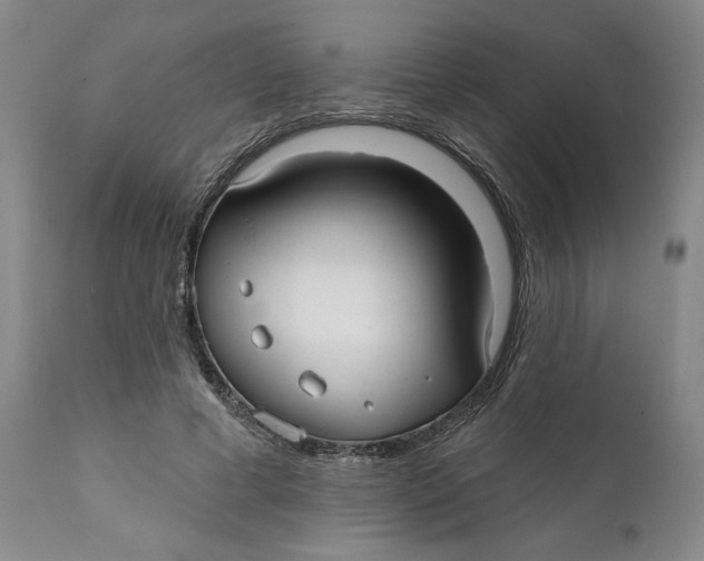 X0000111240593200907231530