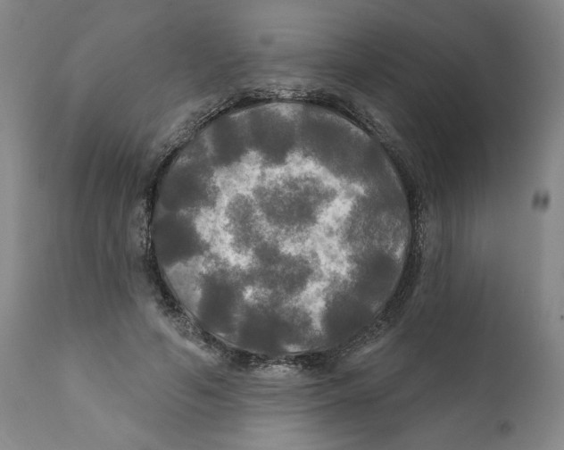 X0000111240594200907231530