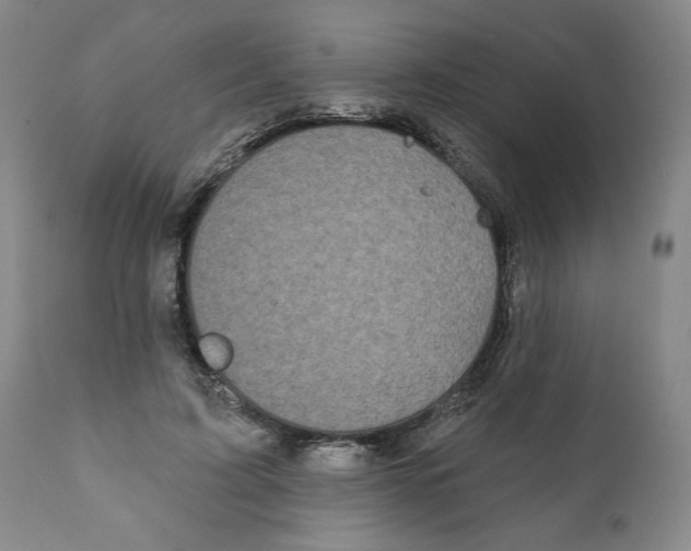 X0000111240595200907231530