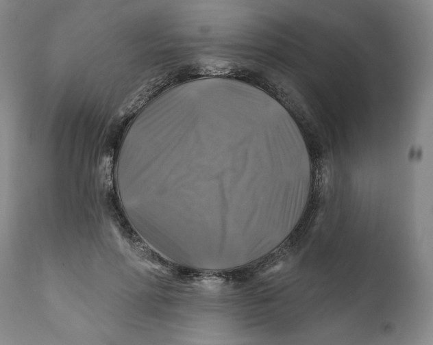 X0000111240598200907231530