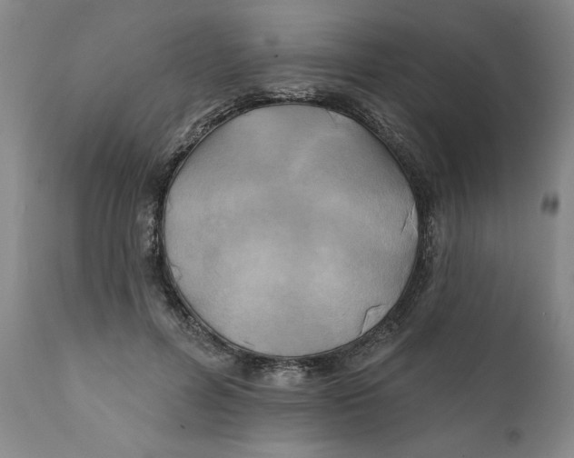 X0000111240600200907231530