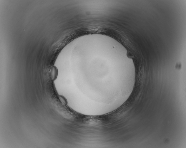 X0000111240601200907231530