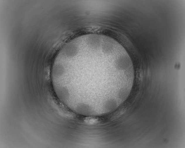 X0000111240602200907231530