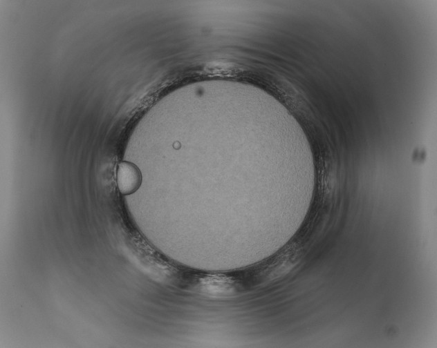 X0000111240603200907231530