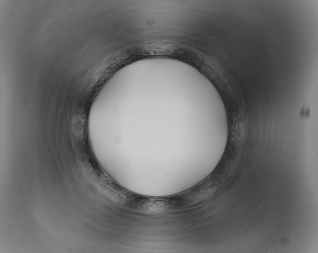 X0000111240604200907231530