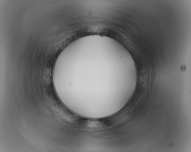 X0000111240605200907231530