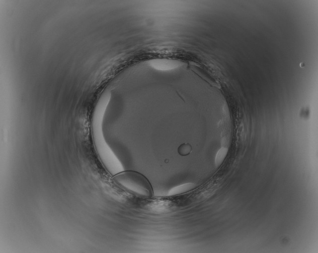 X0000111240609200907231530