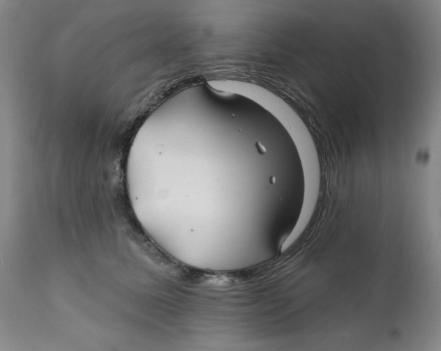 X0000111240611200907231530