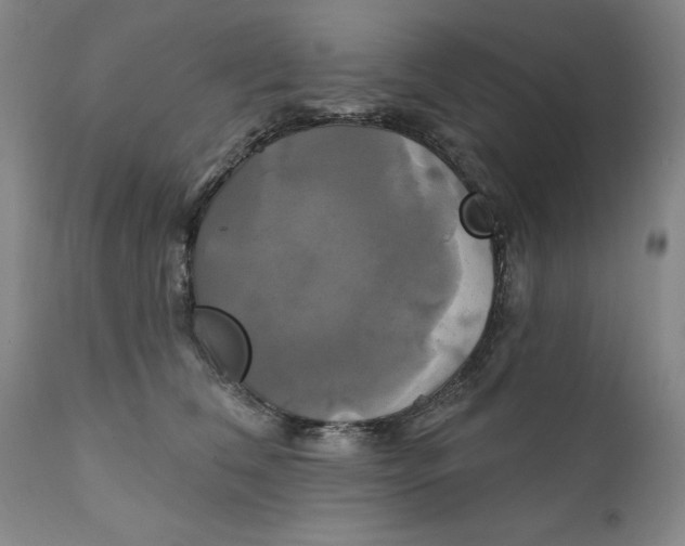 X0000111240612200907231530