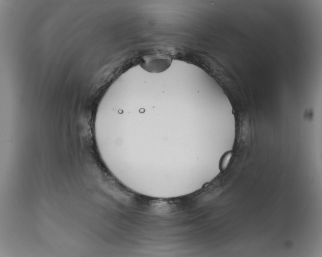 X0000111240616200907231530