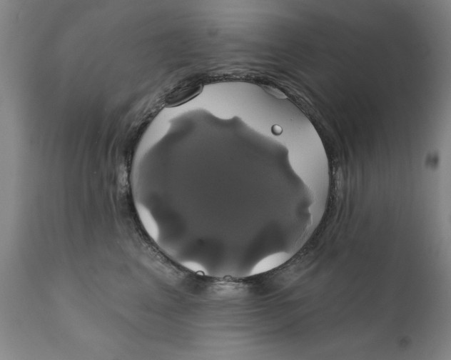 X0000111240617200907231530