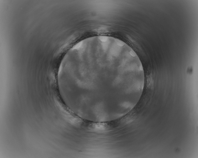 X0000111240618200907231530