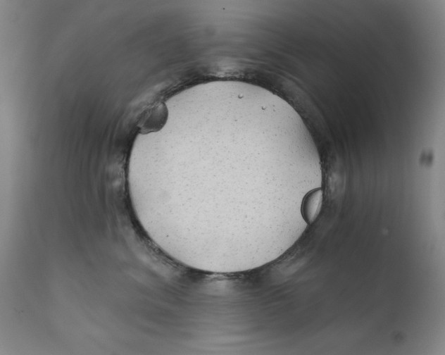 X0000111240620200907231530