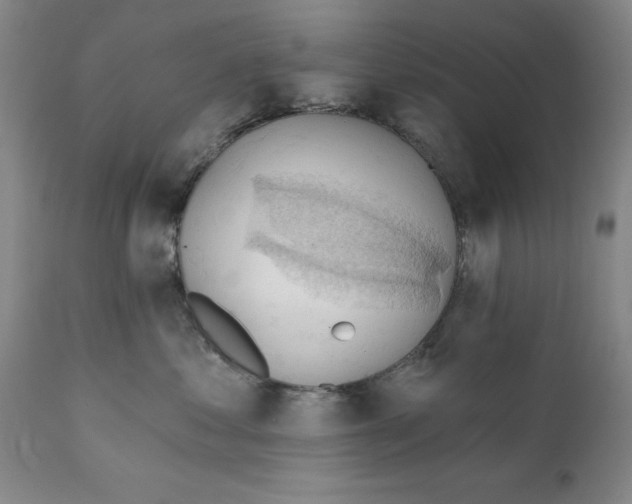 X0000111240621200907231530