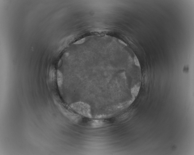 X0000111240623200907231530