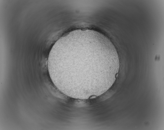 X0000111240624200907231530