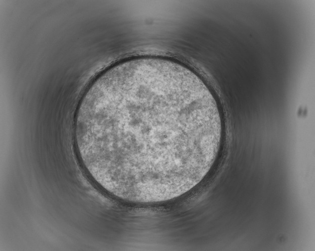 X0000111240625200907231529