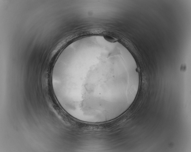 X0000111240626200907231529