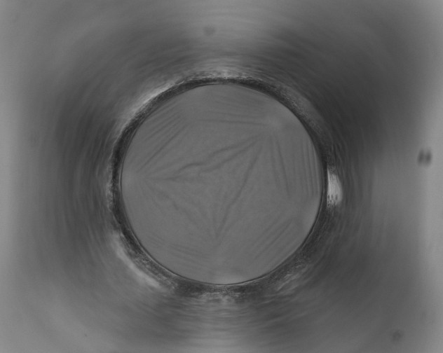 X0000111240627200907231529