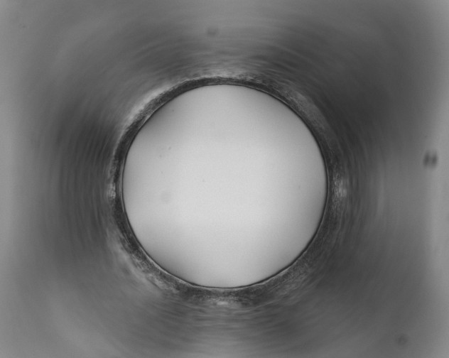 X0000111240628200907231529