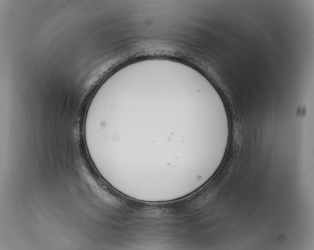 X0000111240629200907231529